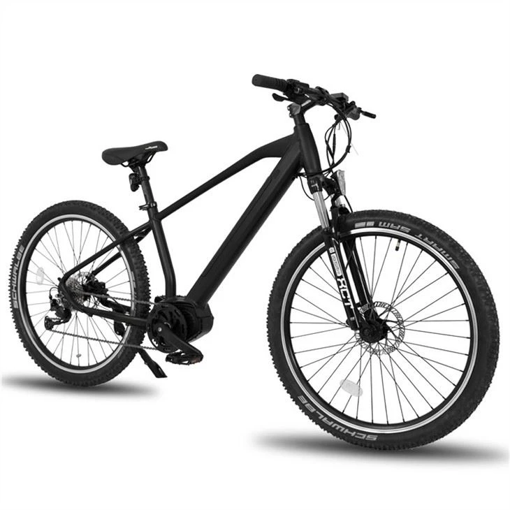 Electric Mountain Bike price