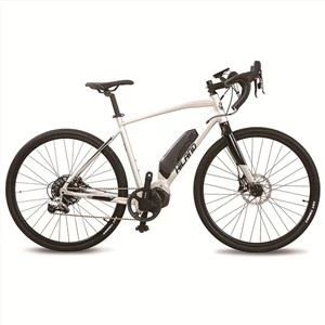 11 Speed ​​Speed ​​E Bike Dengan Shimano 250W Mid Drive Motor