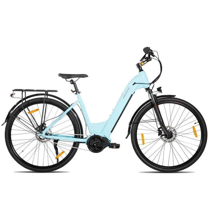 JOYKIE LAMASSU New Model Internal Nexus Swift Electric Mountain Bike Mid Drive Motor Hydraulic Disc Brake suppliers