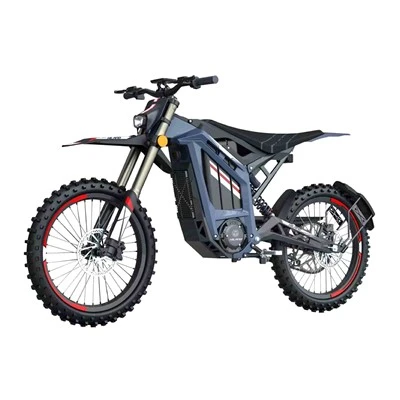 70km/j 19INCH E Moto Bike