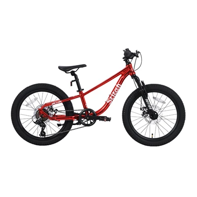 MTB Kids Popular MTB Bike Mountain Bicycle Shock Fork For Off - Jalan 7 Gear Speed dengan Brake Disc